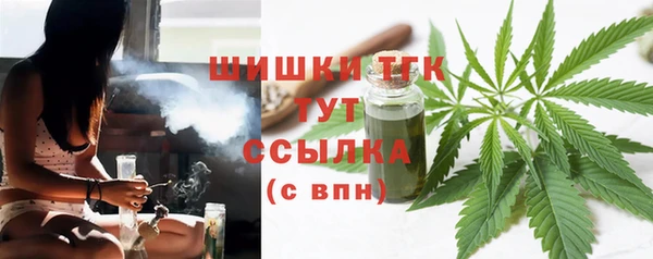 хмурый Дмитровск