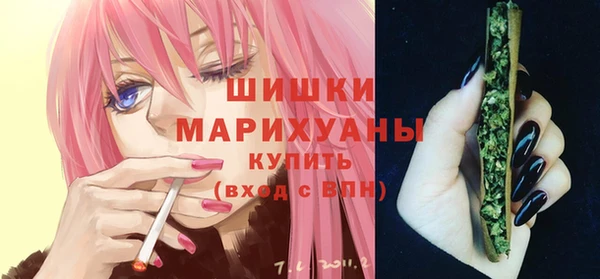 гидропоника Дмитриев