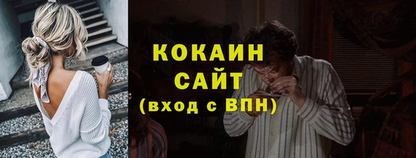 гидропоника Дмитриев