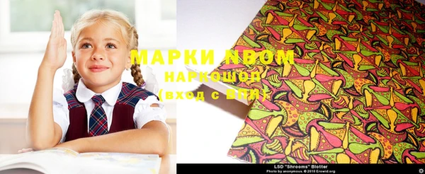 хмурый Дмитровск