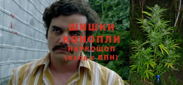 винт Дмитров