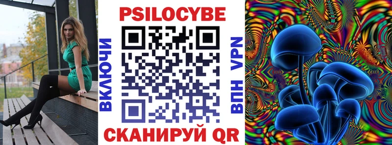 Псилоцибиновые грибы Psilocybe  Купить  Нея 